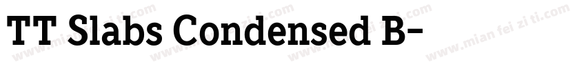 TT Slabs Condensed B字体转换